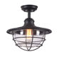 Glass sun room special chandelier outdoor pavilion light