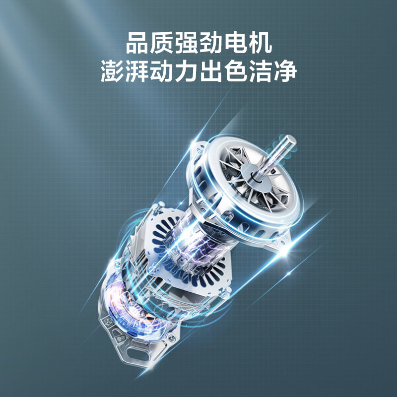 小天鹅全自动家用波轮小型洗衣机 小天鹅领美洗衣机