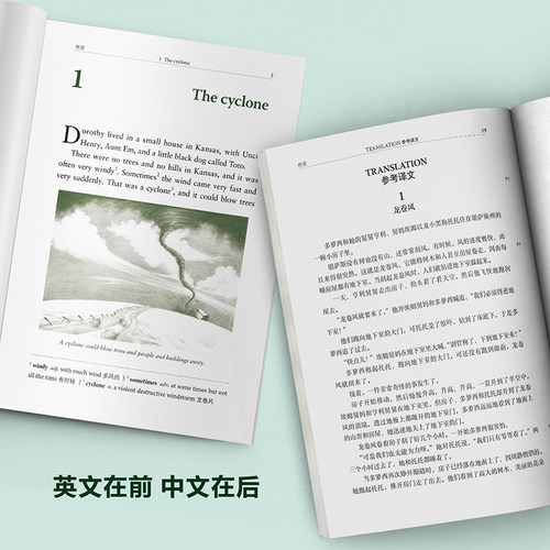 正版包邮 书虫 1级上【适合初一初二学生】1级1升级版一级系列共11本附音频 外研社牛津英汉双语读物 初中生英语课外阅读英语书籍 - 图1
