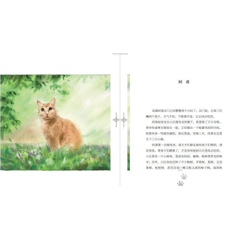 小猫布丁 —随书附赠6张小猫布丁精美明信片 一只流浪小猫的成长史 二三年级小学生阅读课外书老师 阅读 - 图2