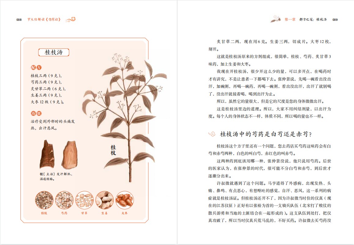 罗大伦解读伤寒论解读外感伤寒的调养之法伤寒杂病论张仲景正版 17个经典方剂讲透中医的智慧健康罗大伦的书籍正版中医养生书籍_虎窝淘