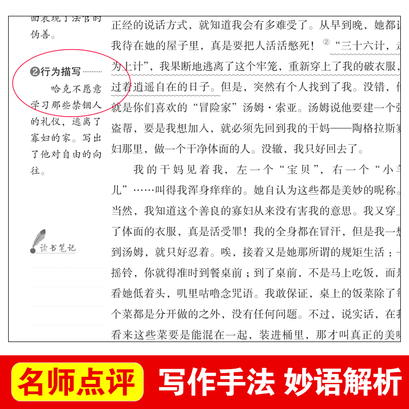 正版哈克贝利费恩历险记天地出版社原版马克吐温原著世界经典名著小学初中生青少年版五 年级课外书课外阅读书籍哈克贝利芬 - 图2