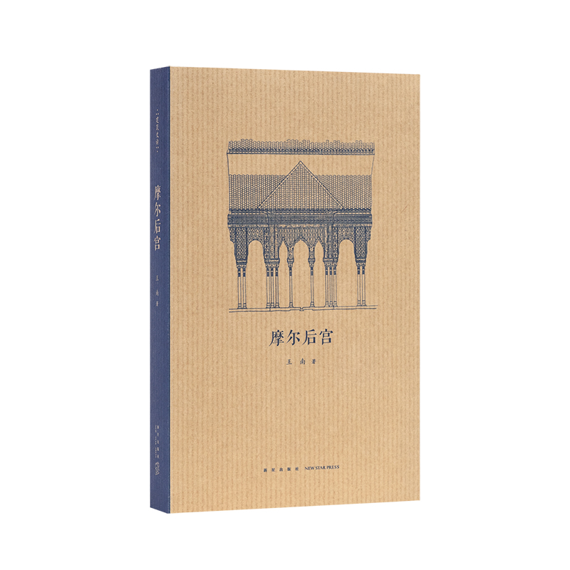 摩尔后宫 王南建筑史诗系列 从麦加天房到阿尔罕布拉宫 一览伊斯兰建筑的绝美风情 伊斯兰建筑发展历史图书 建筑设计艺术书籍 读库 - 图0