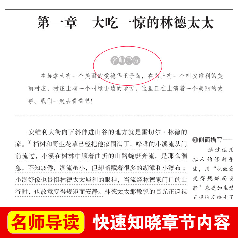 绿山墙的安妮爱不释手的儿童成长故事儿童文学经典书系小学生阅读书目青少年课外文学阅读书籍博库旗舰店青少年校园成长-图2