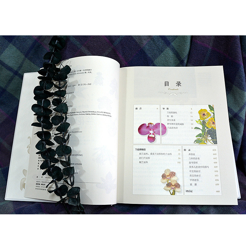 兰花博物馆 自然博物馆丛书 (英)马克·切斯(荷)马尔滕·克里斯滕许斯 汤姆·米伦达 动物植物等种类分类及生命科学研究知识书博库