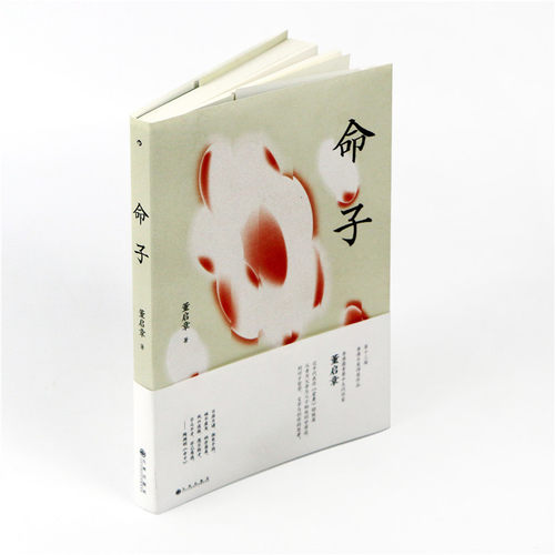 命子  第十三届香港书奖获奖作品 香港重要中生代作家董启章 博库网 - 图3