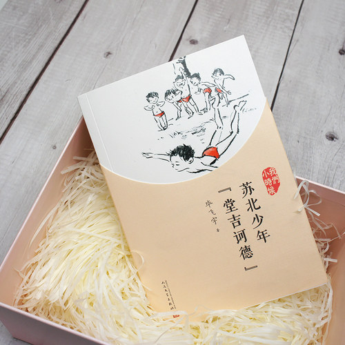 【现货正版】苏北少年堂吉诃德 我们小时候系列毕飞宇散文集朗读 童年回忆校园成长小说青春文学作品集随笔家长孩子共读畅销书籍 - 图2