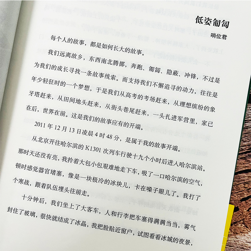 正版包邮 低姿匍匐 一号哨位六年沉淀 数十战友传奇经历 哨位君军人成长散文集真实的军旅生活和内心世界人民文学出版社书籍小说 - 图2