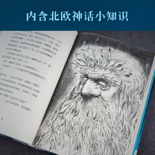 奇迹男孩与冰霜巨人(精) 博库网  尼尔盖曼作品 北欧神话小故事 奇幻冒险 儿童幻想 科幻小说 7-12岁一二三年级阅读课外必读书籍 - 图3