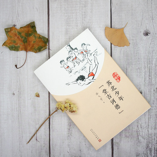 【现货正版】苏北少年堂吉诃德 我们小时候系列毕飞宇散文集朗读 童年回忆校园成长小说青春文学作品集随笔家长孩子共读畅销书籍 - 图1