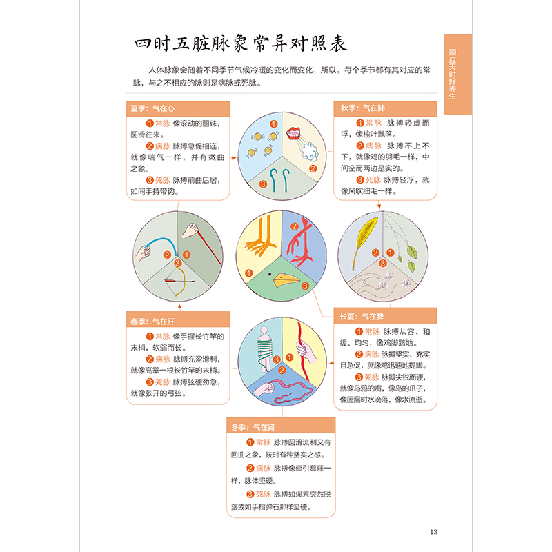 图解黄帝内经二十四节气养生速查全书 时令养生法则二十四节气起居饮食建议十二时辰经络脏腑保健指南顺时健康生活书籍 - 图2