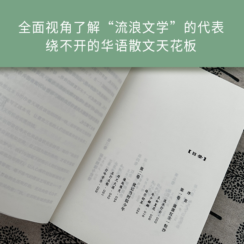 流光不负岁月静好：三毛的美丽与哀愁一本独特的散文风格人物传记，探索青年文学偶像“流浪-图1