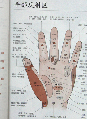 【旗舰店正版】每天学点面诊手诊秘诀 图解面诊手诊常见病大全书籍 中医养生诊断学  掌纹本草纲目 家庭医生 防病养生图解经络