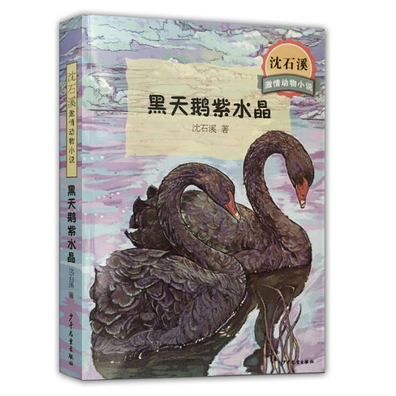 黑天鹅紫水晶/沈石溪激情动物小说中小学生三四五六年级课外阅读畅销书籍少儿6-7-8-9-10-11-12岁励志成长青少年儿童文学故事读物-图2