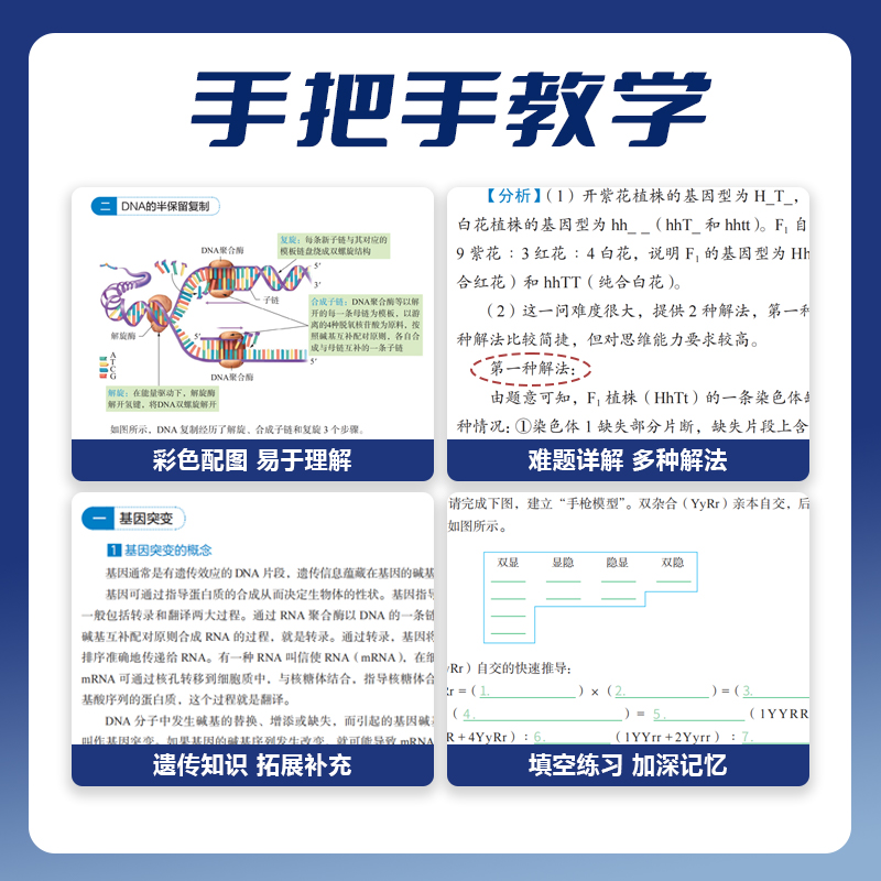 2024李林生物笔记30天速记高中生物基础知识点德叔生物遗传学总结大全新教材全国版真题分类全刷1000高三教辅一轮复习资料育甲高考 - 图1