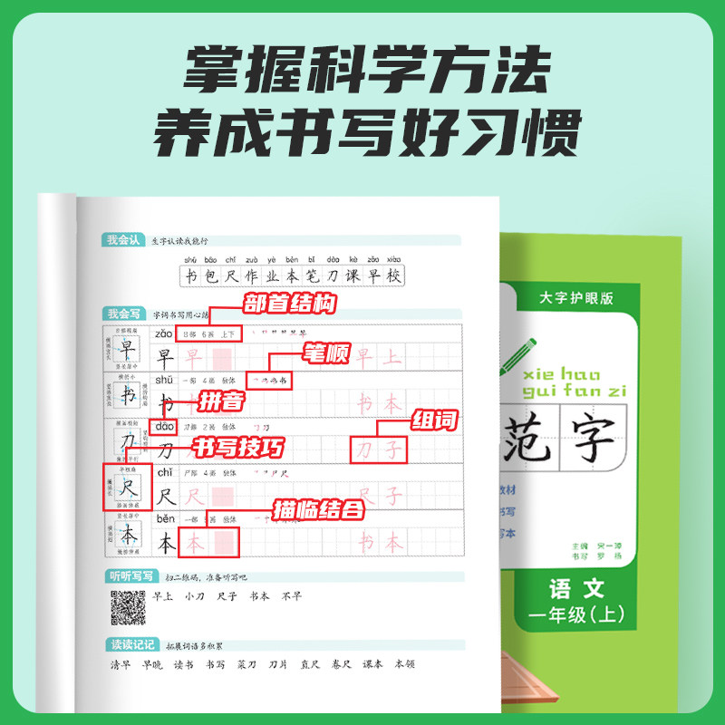 2024阳光同学写好规范字语文1一年级上册练字帖人教版全国通用小学专用儿童生字笔顺每日一练作业本练字小学生专用字帖练字帖