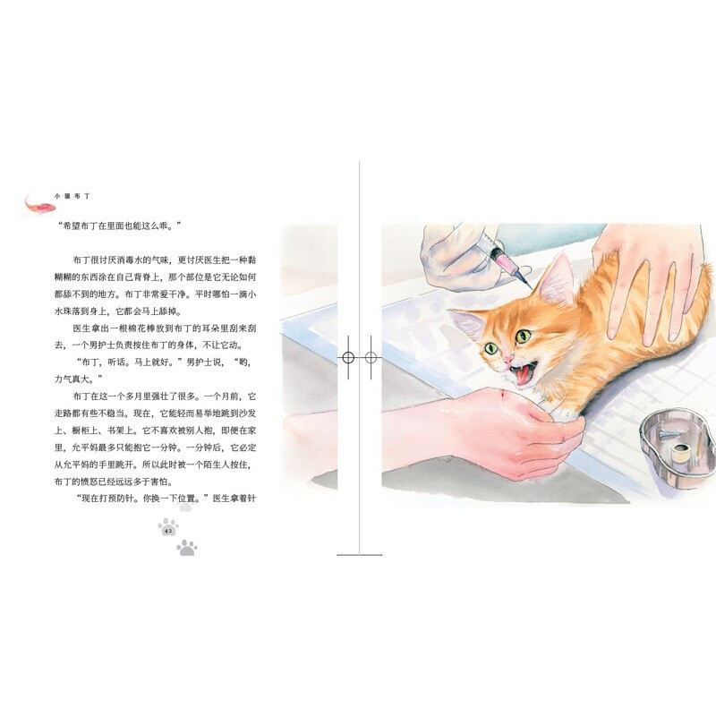 小猫布丁 —随书附赠6张小猫布丁精美明信片 一只流浪小猫的成长史 二三年级小学生阅读课外书老师 阅读 - 图1