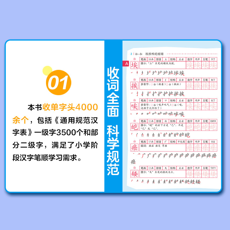 正版22年小学生专用全笔顺规范字典笔画部首结构顺序偏旁汉字