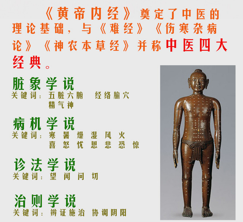 黄帝内经全集原版精装白话版灵枢素问上下册中华经典名著全本全注全译丛书课外阅读校释古典中医药学基础理论入门中华书局正版_虎窝淘