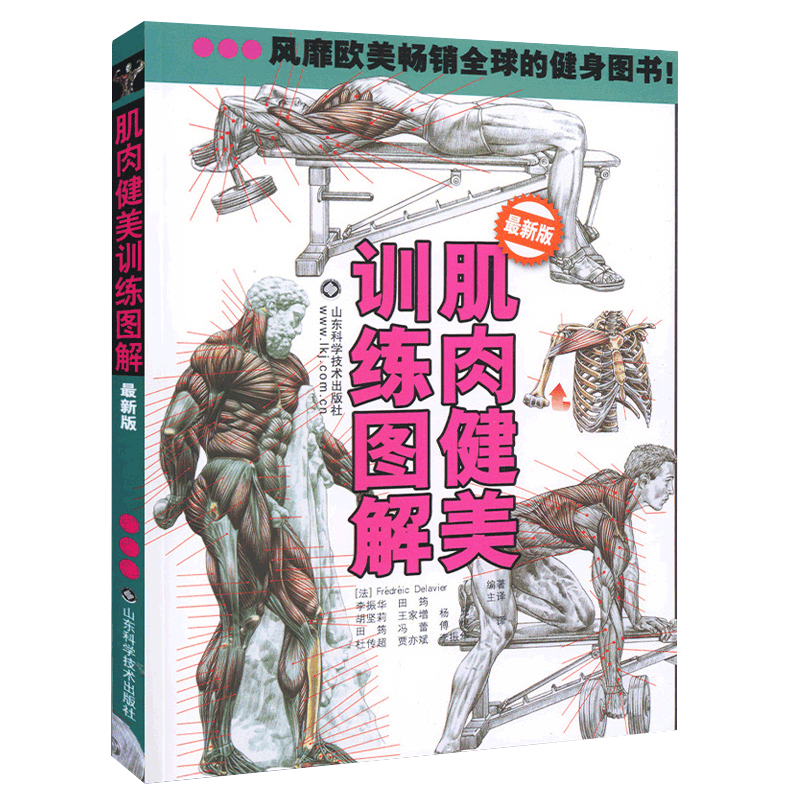 肌肉健美训练图解德拉威尔运动肌肉解剖学图谱健身教程大全健身书籍增肌书籍私人教练教你功能性训练书肌肉拉伸训练减脂肌肉解剖书 - 图0