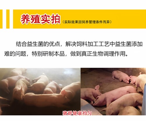 促长先锋猪催肥预混料益生菌调肠道小中猪促生长育肥猪饲料添加剂 - 图3