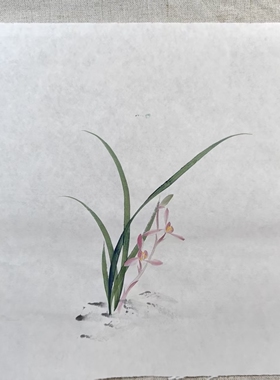 纯手绘国画兰花写意水墨花鸟斗方小品画心芯作品餐厅走道书房字画