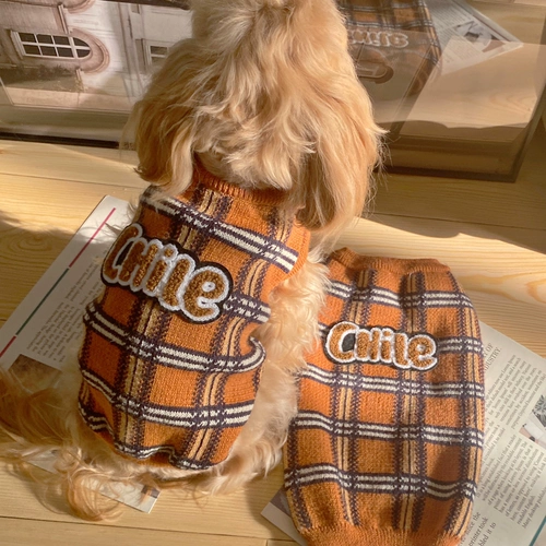 Бэк кот Американская академия американской галладской питомник осень и зимний теплый кот -Йорк летний свитер одежды