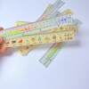 Traditional solar term ruler culture student cartoon learning artifact high-value measurement practical stationery reward gift