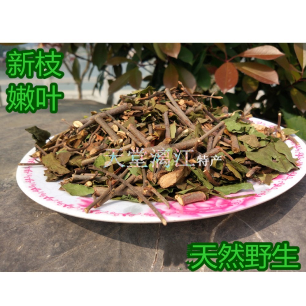 广西深山野生桑寄生广寄生500g包邮 可桑上寄生茶+杜仲茶搭配泡茶 - 图3