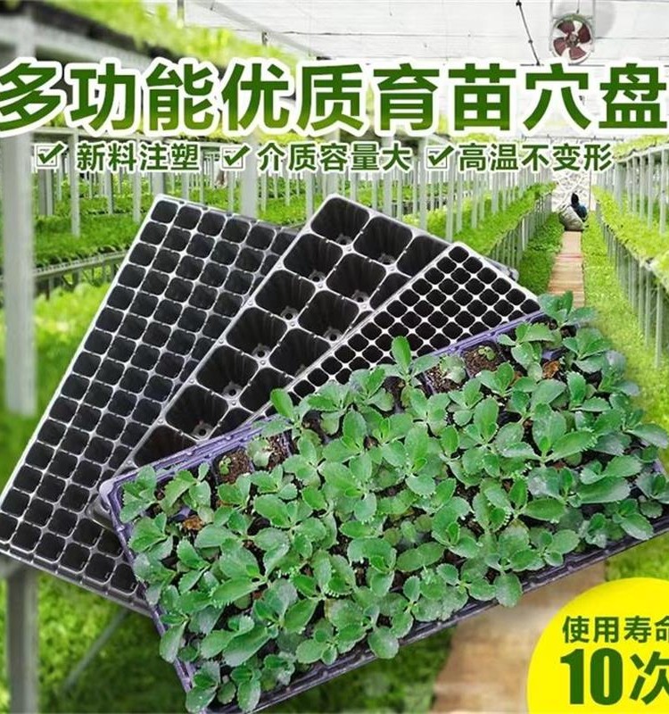 育苗盘穴盘育苗盆育苗杯育苗盒玉米育苗专用盘西瓜育苗盘穴盘苗盘,淘宝优惠券,粉丝福利购,淘宝优惠卷