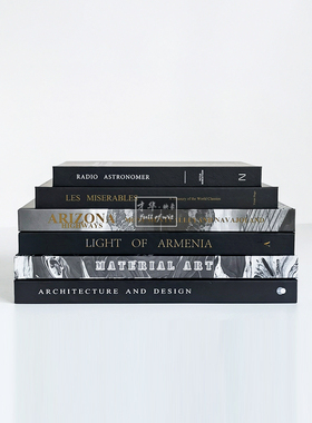 现代简约样板房黑色装饰真书售楼处客厅桌面摆件静物拍照摄影道具