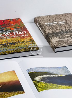 抽象油画作品样板间艺术画册摆件