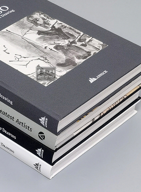 样板间艺术真书毕加索画册摆件