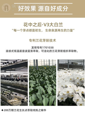 audace台湾女娲修护精华