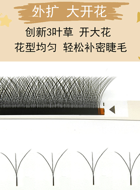 大花外扩三叶草超软不散根