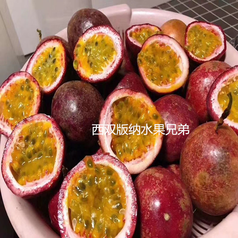 西双版纳兄弟新鲜现摘百香果图片_1