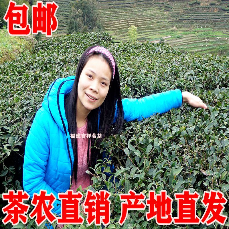 新茶特级铁观音福建安溪高山铁观音清香型茶叶特级散装袋装500g