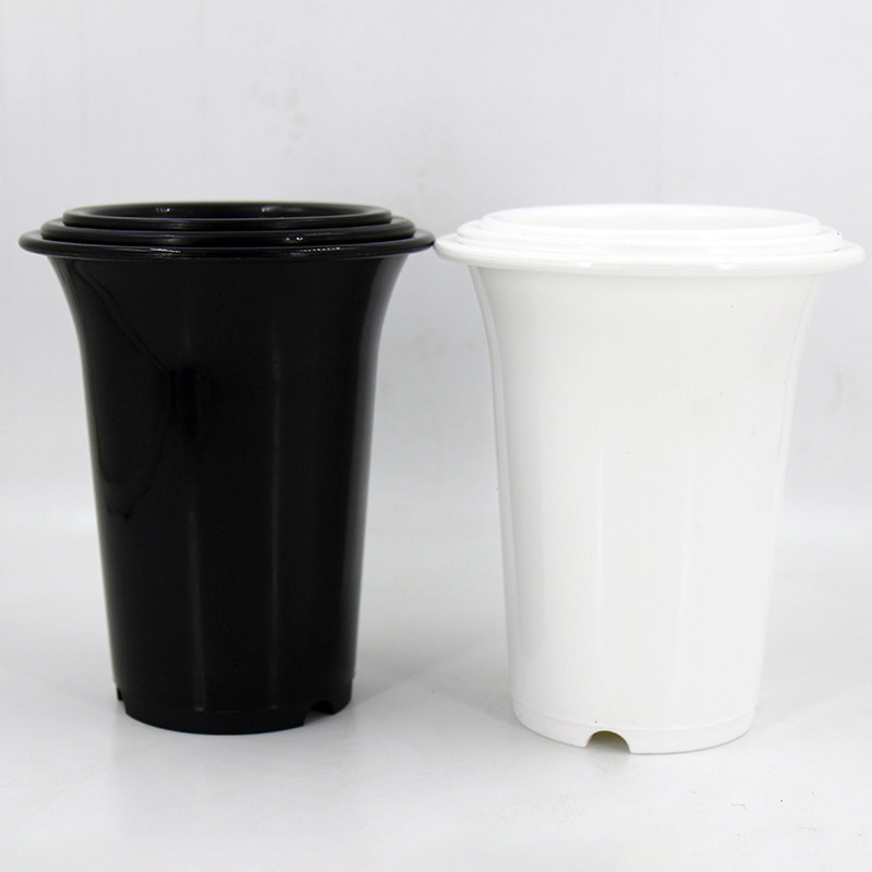 新款日本奈良盆圆口花盆多肉植物十二卷景天绿植玉露玉扇万象大棚,淘宝优惠券,粉丝福利购,淘宝优惠卷