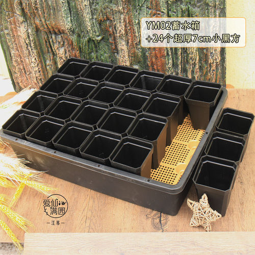 2套起包邮-蓄水育苗箱 多肉花盆蓄水箱 黑方套餐组合 可侵盆 - 图2