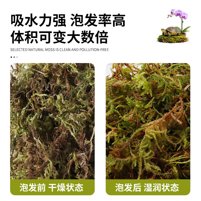 干苔藓蝴蝶兰水苔兰花专用植料爬宠乌龟冬眠青苔石斛铺面保湿透气,淘宝优惠券,粉丝福利购,淘宝优惠卷