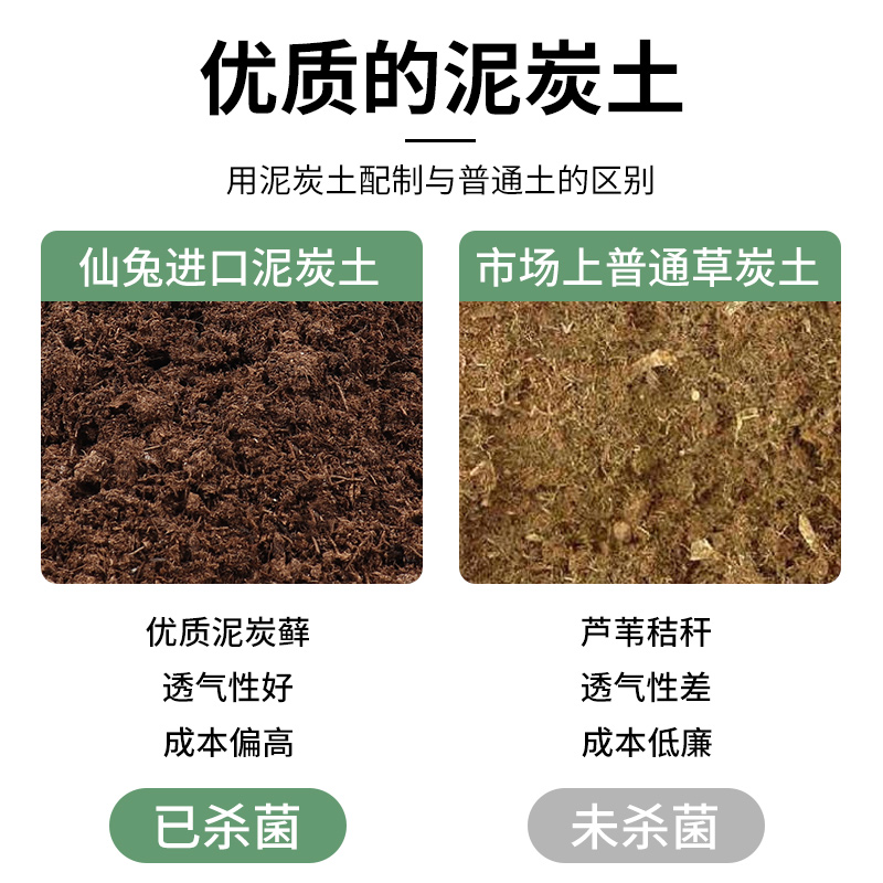 仙兔多肉营养土专用颗粒土肉肉植物种植土进口泥炭铺面石叶插花土 - 图2