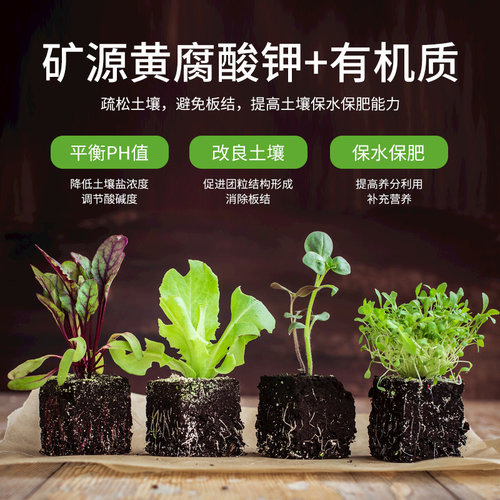 土壤活化剂活化宝通用型矿源黄腐酸钾微生物菌剂黑水松土精改良剂 - 图2
