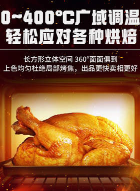 赛快商用煤气烤箱电烤箱烤炉窑鸡