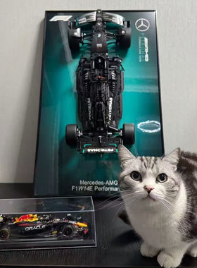 兼容乐高奔驰F1展示画框
