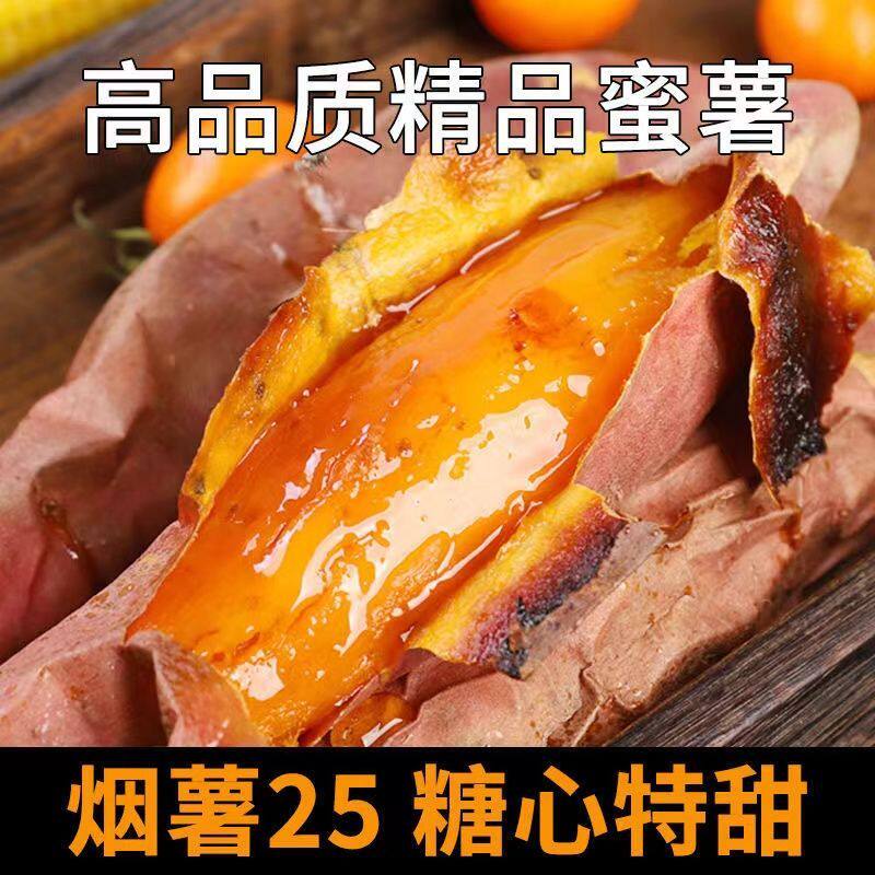 山东新鲜烟薯25号红薯烤地瓜糖心红心蜜薯沙地番薯甜5斤9农家自种