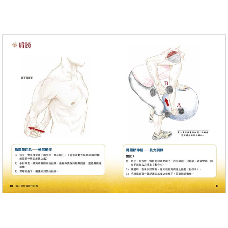 【预售】台版 肌力与伸展动作详解 人体解剖全书附册 瑜伽 皮拉提斯 伸展 医疗常识 医疗健康类书籍 枫叶社文化 - 图2