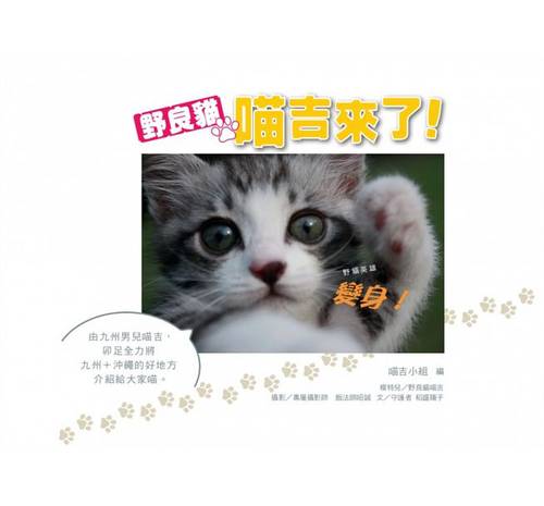 【现货】台版野良猫喵吉来了随书附有喵吉可爱透明贴纸喵吉小组宠物猫图鉴饲养攻略宠物书籍商周文化-图0