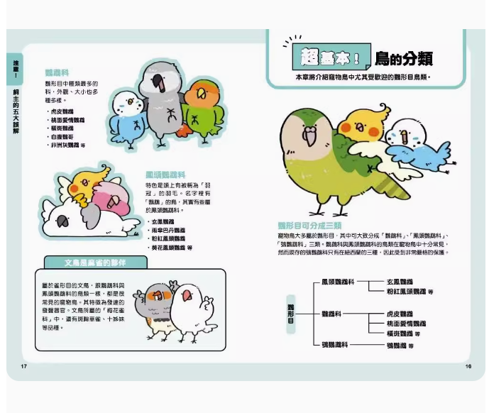 【预售】台版 鹦鹉有话说 给饲主的126项照顾守则 枫叶社文化 矶崎哲也 一举收录养鸟新手资深鸟奴都要瞭解的鸟宝心声宠物书籍