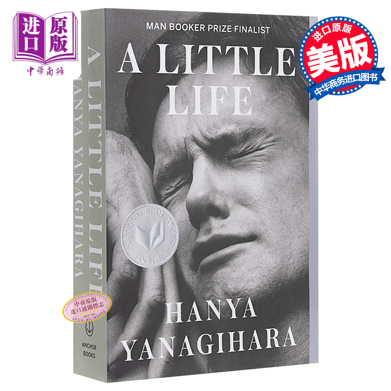 现货 渺小一生 英文原版 A Little Life 柳原汉雅 文学小说 Hanya Yanagihara【中商原版】 - 图0