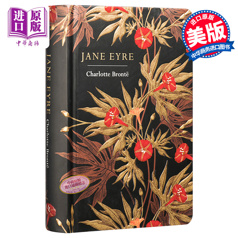 现货 简爱 浮雕封面高颜值装帧设计 Chiltern Classic Jane Eyre 英文原版 Charlotte Bront?【中商原版】 - 图0